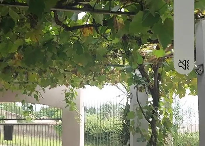 Residencial Pós Cirurgia *